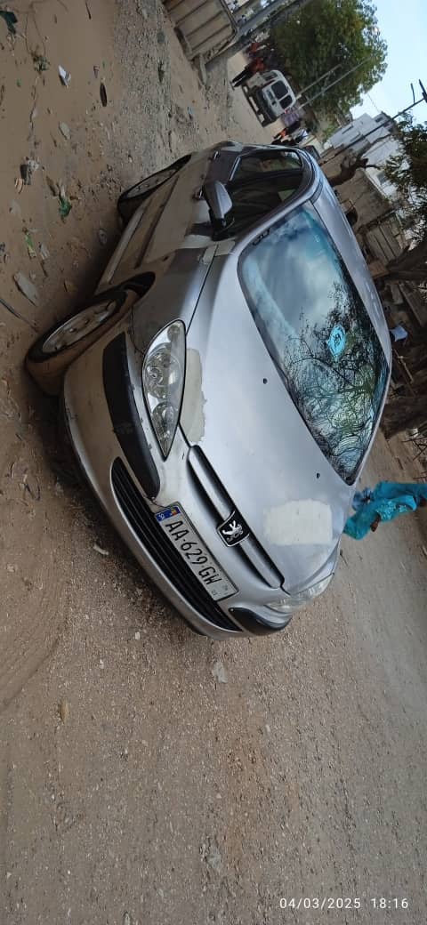 PEUGEOT 307